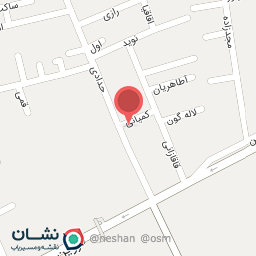 عکس فروشگاه دیزلی