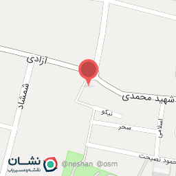 عکس پیتزا صدف