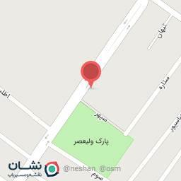 عکس اتو سرویس علی