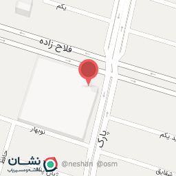 عکس کیف و کفش دندی