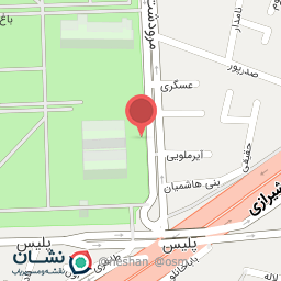 عکس بازار میوه و تره بار قصر