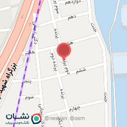 عکس پرنده دوم