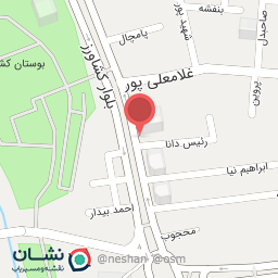 عکس نان آریا