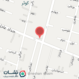 عکس پیتزا یاران