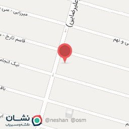 عکس فرش نگین