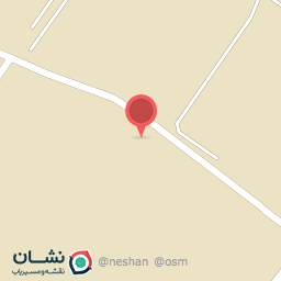 عکس چینی گل نگار