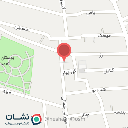 عکس مکانیکی حسین سلیمی 