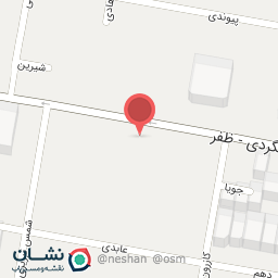 عکس گروه تخصصی مشاورین خاص