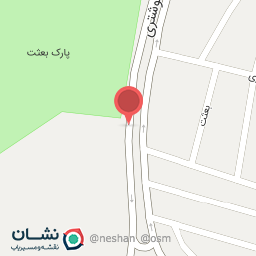 عکس گل فروشی آزالیا