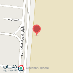 عکس شرکت سرویس نفت و گاز مپنا