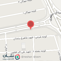 عکس پیتزا ساندویچ جواد