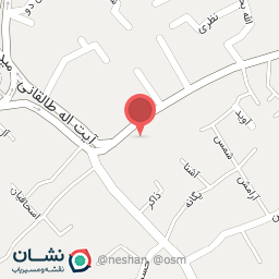 عکس کیف و کفش احمد