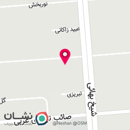 عکس باشگاه سپینا