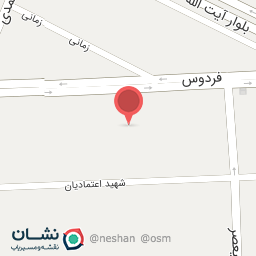 عکس دکتر مدیحه امینی