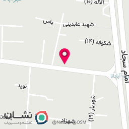 عکس ذغالی برگر آپادانا