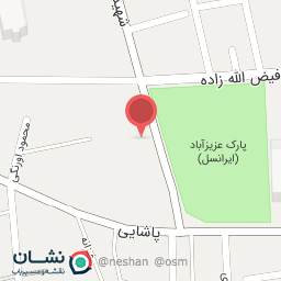 عکس پیتزا گلها