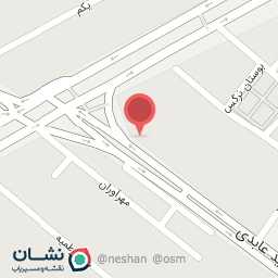 عکس پیتزا تک