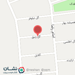 عکس پوشاک زنبق