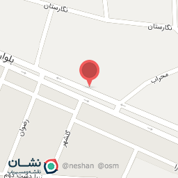 عکس آتلیه رز آبی