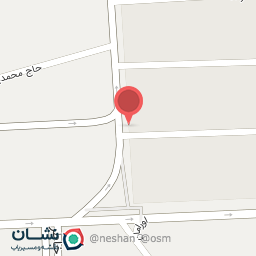 عکس باربیکیو یاران