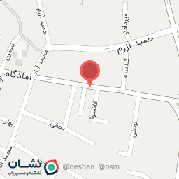 عکس دکتر محمد صغیرا