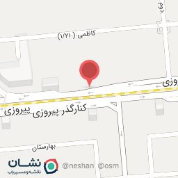 عکس دکتر ناهیده کاظمیان ابیانه