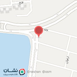 عکس تهیه غذای آقاجون