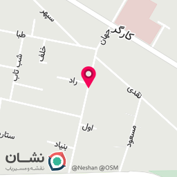 عکس رانیکا وب