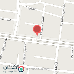 عکس صافکاری حافظ