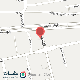 عکس سیده سرور برومند شادکام