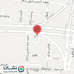 عکس پلاسکو صدیقی