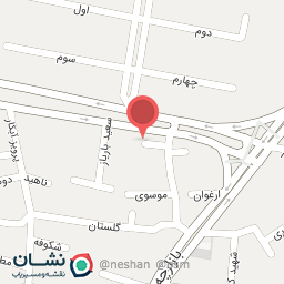 عکس تک برگر