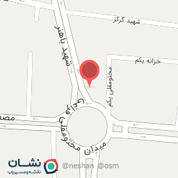 عکس الین فود