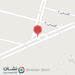 عکس پیتزا وساندویچ محمد