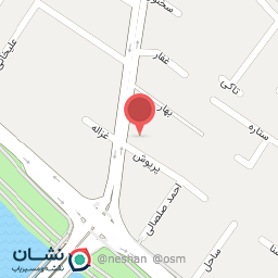 عکس دارکوب سل