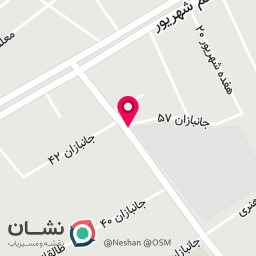 عکس کفش بچگانه پانی نی