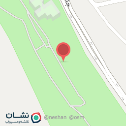 عکس پیتزا توریست علیصدر