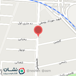 عکس پیتزا مددی