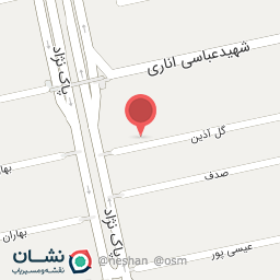 عکس شرکت پادیس