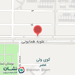 عکس باشگاه الین