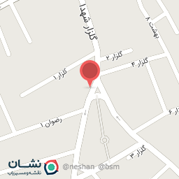 عکس مشاور املاک حسن شاه