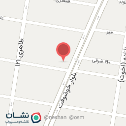 عکس دکتر علیرضا شفیعی