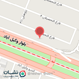 عکس مرغ بریان پاچینو