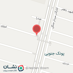 عکس تهیه غذای پارس بانو