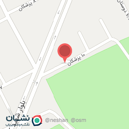 عکس تهیه غذای مهمان مامان