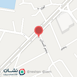 عکس پیتزا دومینو