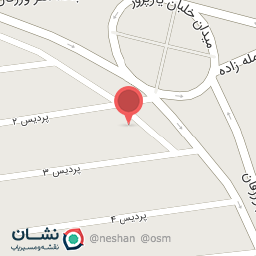 عکس مکانیکی سعید