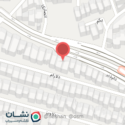 عکس دکتر نوشین آرام بنیاد