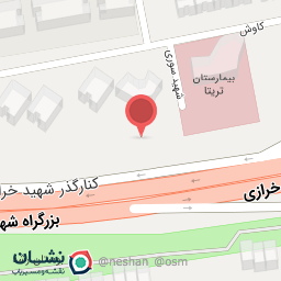 عکس دکتر شهناز احمدی، متخصص فلوشیپ نازاییIVF