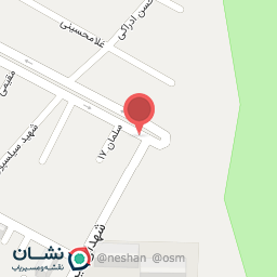 عکس باطری سازی امیر